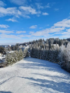 Hotel ALPIN - apartament 704, Braşov